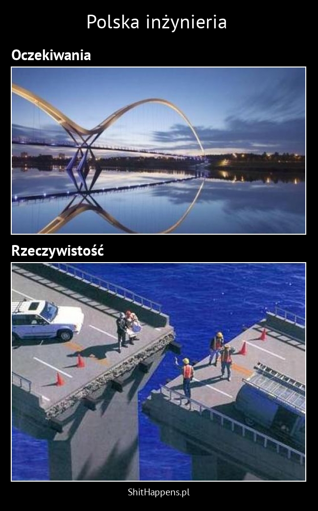 Polska inżynieria